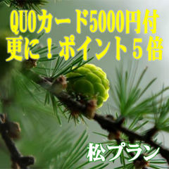 QUOカード5000円付・松プラン